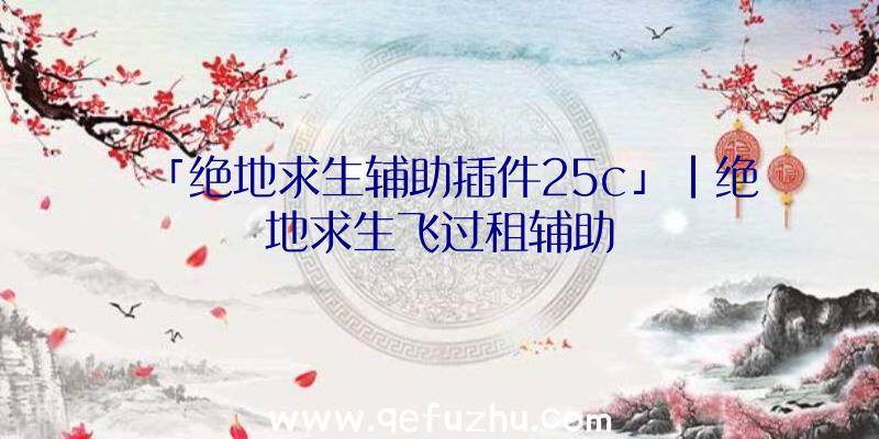 「绝地求生辅助插件25c」|绝地求生飞过租辅助